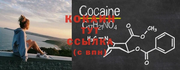 крисы Белоозёрский