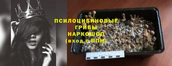 ПСИЛОЦИБИНОВЫЕ ГРИБЫ Беломорск