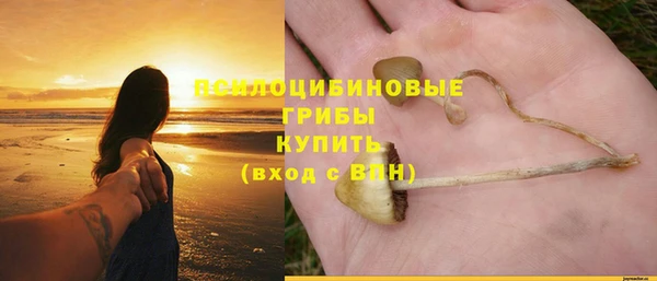 первитин Белокуриха