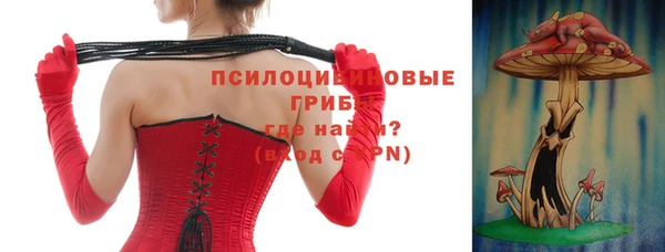 первитин Белокуриха